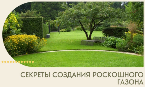 Секреты создания роскошного газона в Кумертау