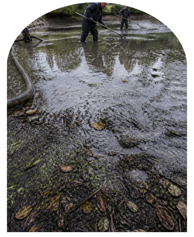 Очистка пруда в Кумертау от ила мусора и водорослей с вывозом